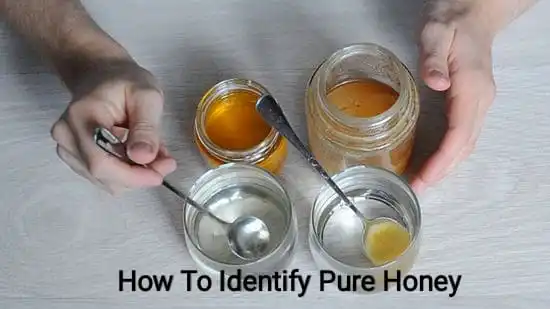 how-to-differentiate-fake-honey-from-real-honey-with-just-a-simple